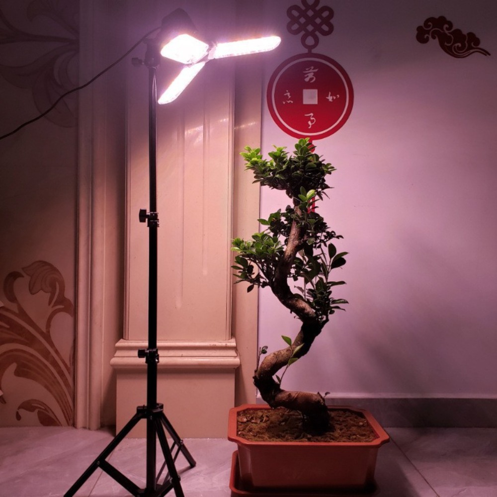 حامل لمبة الضوء 2 متر، مقبس تي - مراجعة Photography Bulb وسعره