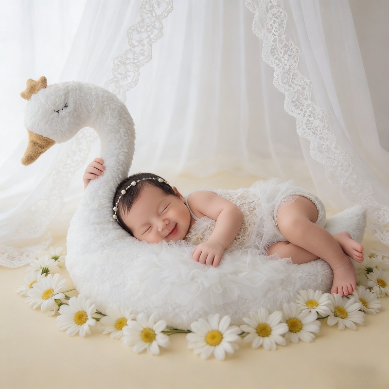 طقم ملابس دانتيل على شكل بجعة  - مراجعة Photography Outfits وسعره